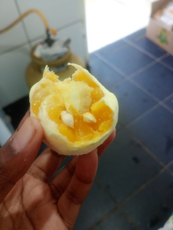 Identificação da planta Cagaita por foto