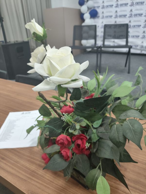 Identificação da planta Rosa Menina por foto