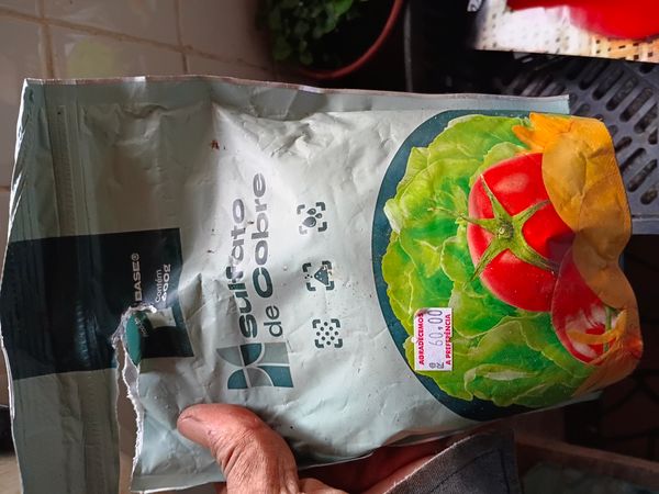 Identificação da planta Tomate por foto
