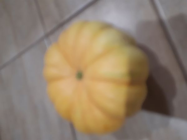 Identificação da planta Abóbora por foto