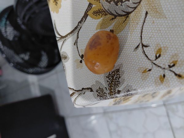 Identificação da planta Damasco por foto