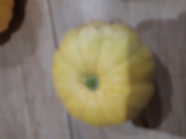 Identificação da planta Abóbora por foto