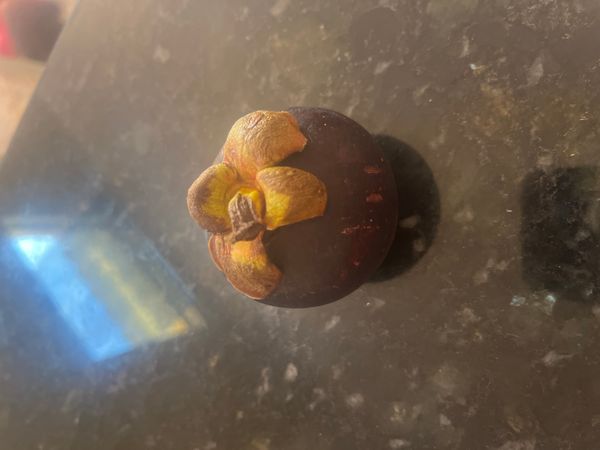 Identificação da planta Mangostão por foto