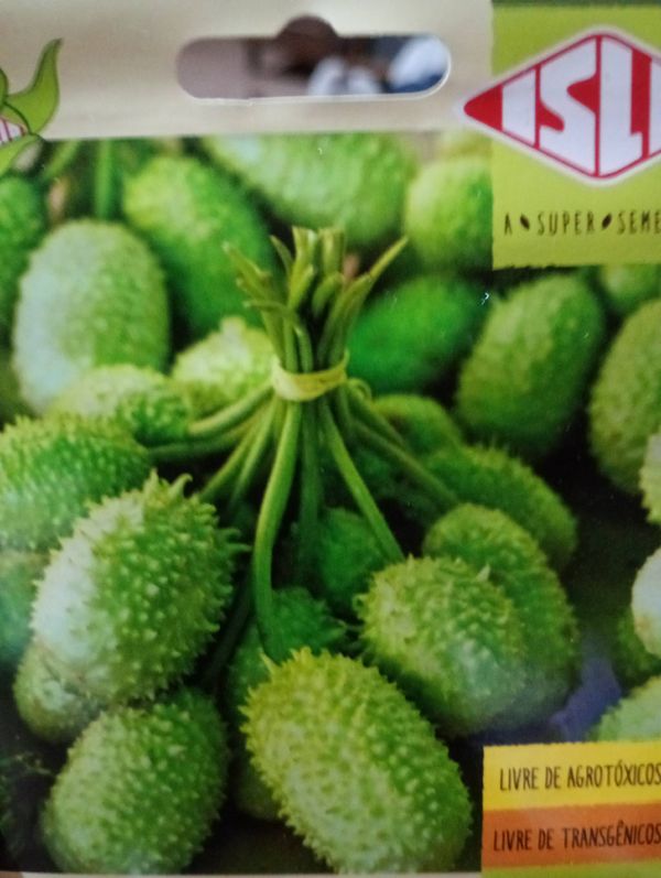 Identificação da planta Maxixe por foto