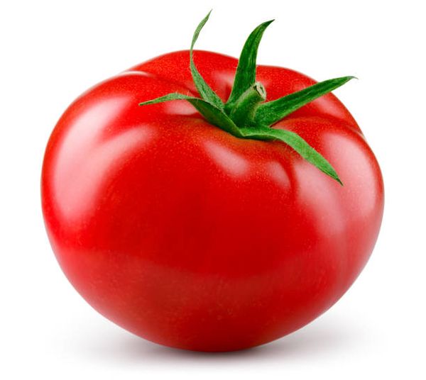 Identificação da planta Tomate por foto