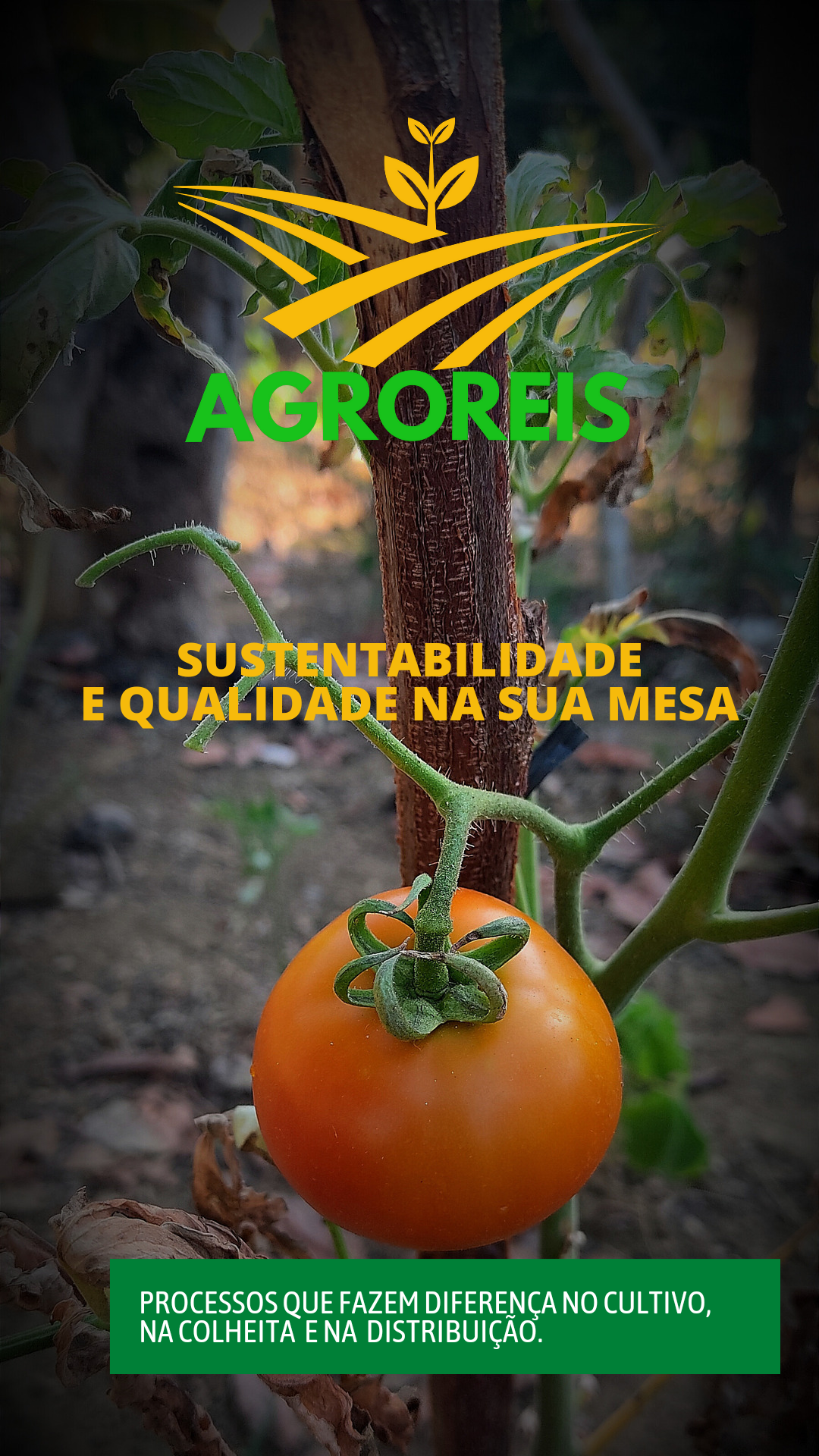Criatorio Reis