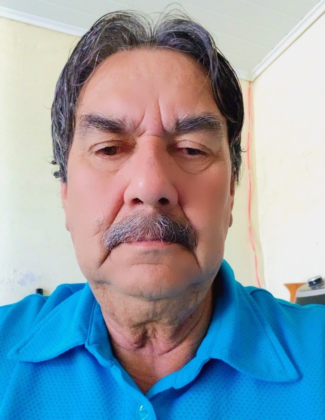 Francisco Soares Portela