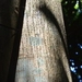 Imagem de Caucho