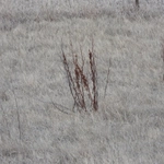 Imagem de Paciência
